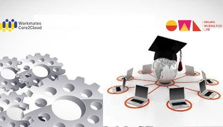 owl case study 1 owl case study 1